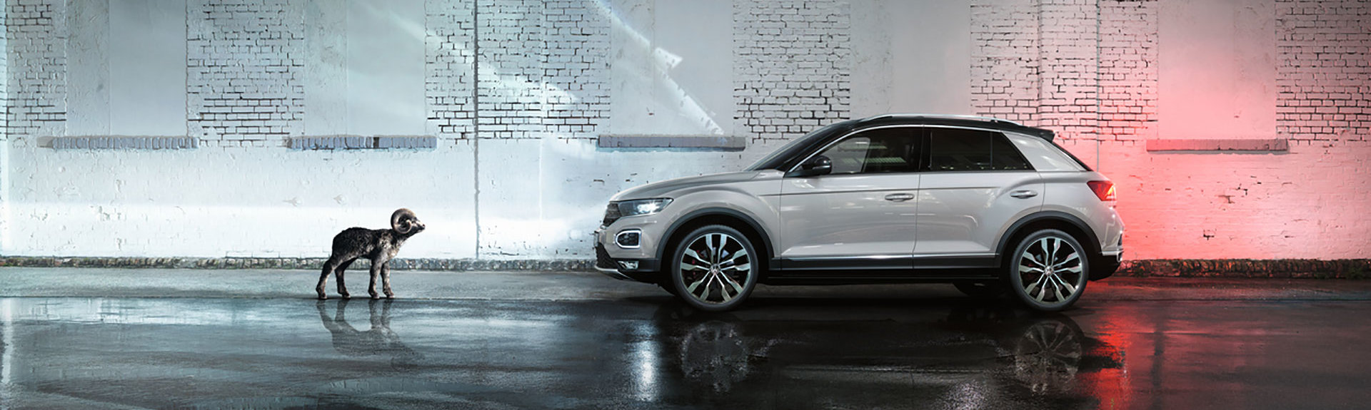 VW T-Roc kaufen VW T-Roc kaufen